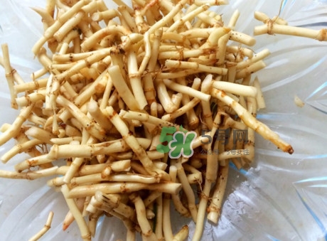 魚腥草可以和蜂蜜一起喝嗎？蜂蜜能和魚腥草一起泡嗎