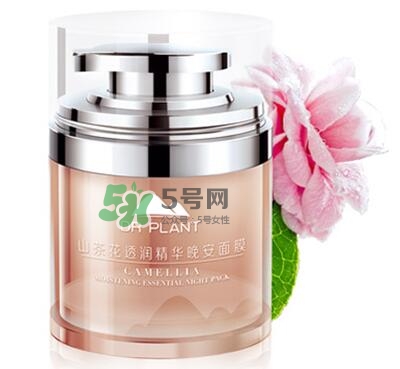 植物醫(yī)生睡眠面膜怎么樣？植物醫(yī)生晚安面膜價格