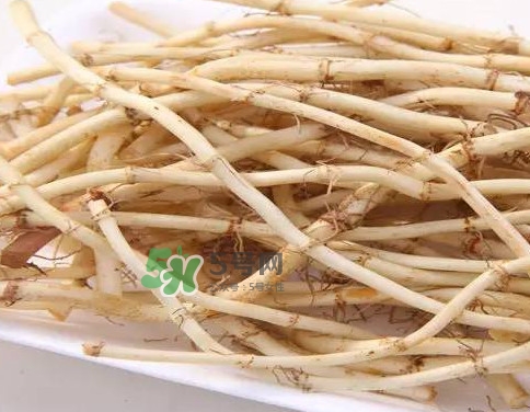 經(jīng)常吃折耳根有什么好處？折耳根的用法用量