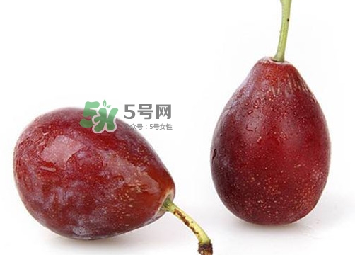 烏梅是西梅嗎？烏梅和西梅的區(qū)別