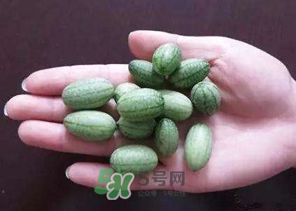 拇指西瓜怎么吃？拇指西瓜好吃嗎