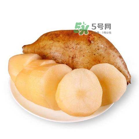 雪蓮果怎么挑？雪蓮果怎么儲存方法？