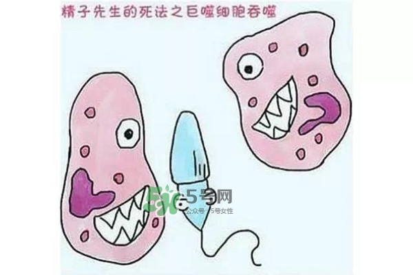 殺精的食物有哪些？吃什么東西殺精？