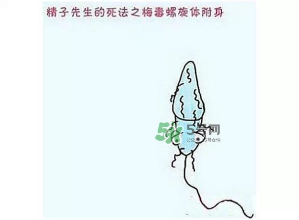 殺精的食物有哪些？吃什么東西殺精？