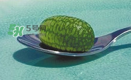 拇指西瓜口感如何？拇指西瓜什么味道？