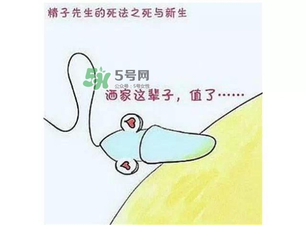 殺精的食物有哪些？吃什么東西殺精？
