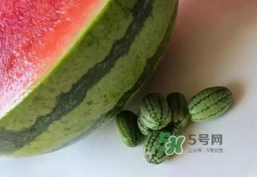 拇指西瓜多少錢一斤？拇指西瓜一口能吃幾個？