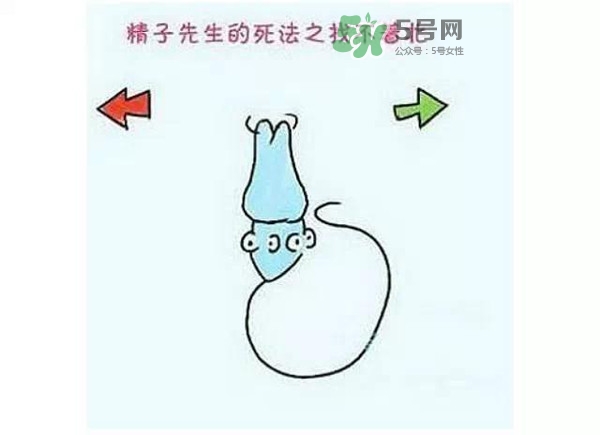 殺精的食物有哪些？吃什么東西殺精？