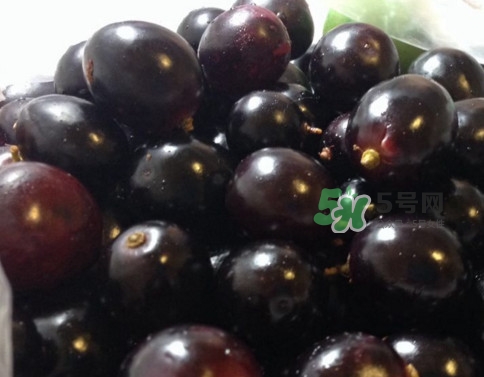 烏梅是綠色的正常嗎？烏梅是綠色的能吃嗎