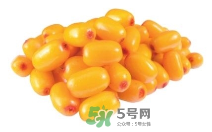 沙棘怎么吃？沙棘果的食用禁忌