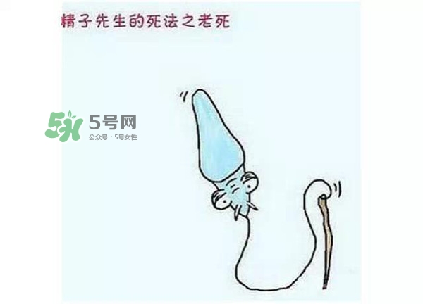 殺精的食物有哪些？吃什么東西殺精？