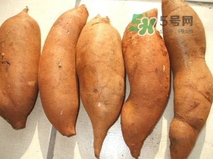 雪蓮果是水果嗎？雪蓮果是什么季節(jié)的水果？