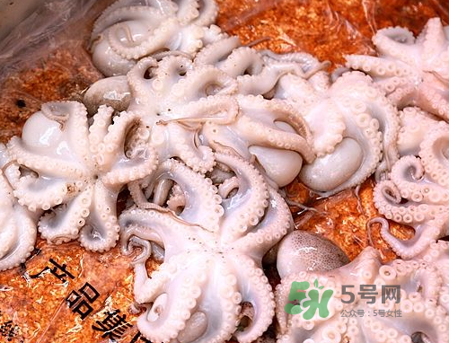 八爪魚可以冷凍嗎？八爪魚可以放冰箱嗎？