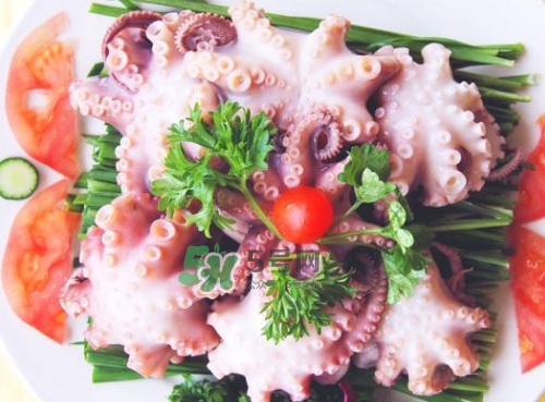 八爪魚什么地方不能吃？八爪魚哪里不能吃？
