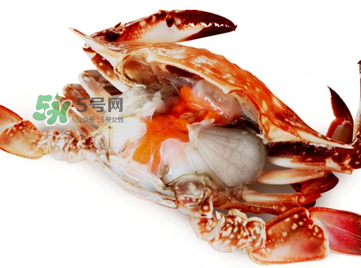 吃梭子蟹會胖嗎？梭子蟹吃了會胖嗎？ 