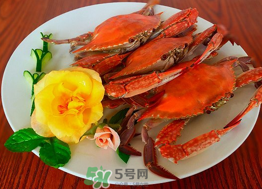 吃梭子蟹會胖嗎？梭子蟹吃了會胖嗎？ 