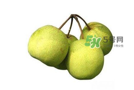 碭山梨好還是皇冠梨好？碭山梨和皇冠梨的區(qū)別