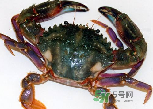 螃蟹腿藍色的是什么？螃蟹腿為什么是藍色？
