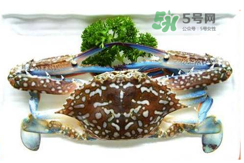 螃蟹腿藍色的是什么？螃蟹腿為什么是藍色？