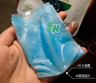 一葉子山茶花補水面膜怎么樣？一葉子山茶花面膜好嗎？