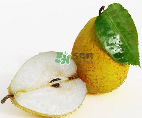 為什么梨子是溫度最高的水果？梨子什么人不能吃