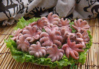 八爪魚煮多久才好？八爪魚需要煮多久？