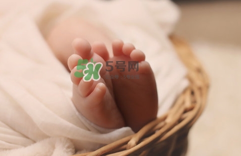 孕婦怎么吃燕窩最好？哪些孕媽需要吃燕窩？