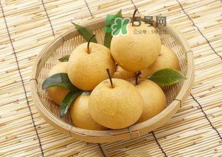 梨子怎么保存？梨子可以放冰箱嗎