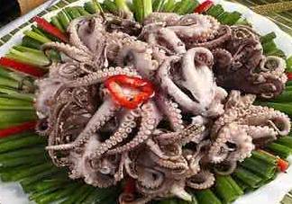 八爪魚(yú)可以冷凍嗎？八爪魚(yú)可以放冰箱嗎？