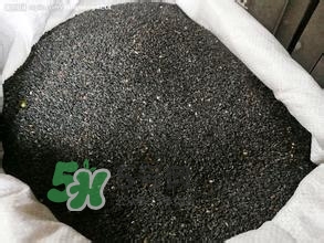 怎么看男人腎好不好？男人腎虛吃什么調(diào)理？