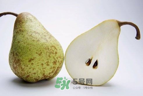 梨子核可以種盆栽嗎？梨子籽怎么種小盆栽