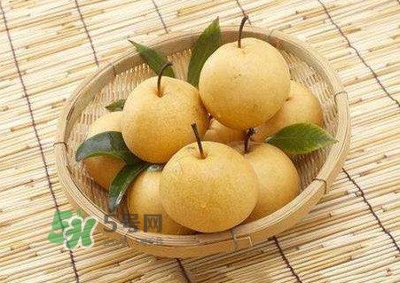 買梨子怎么挑選？梨子外面為什么要包張紙