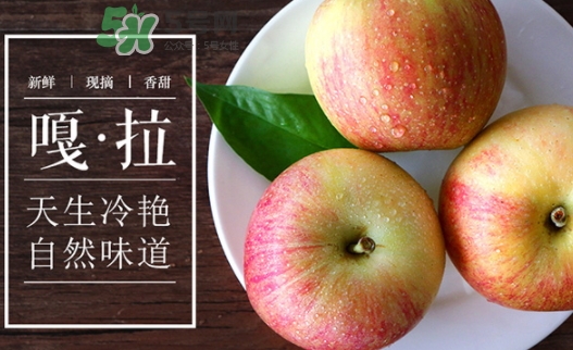 嘎啦蘋果多少錢？嘎啦果多少錢一斤
