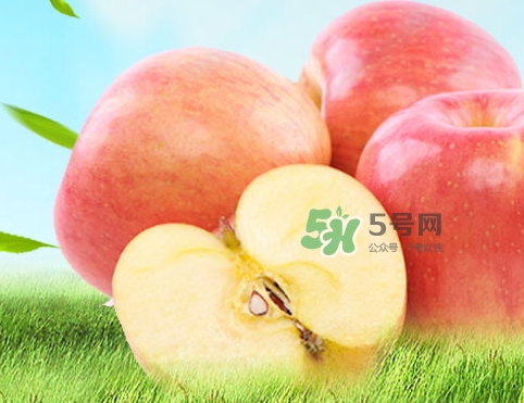 嘎啦蘋果多少錢？嘎啦果多少錢一斤