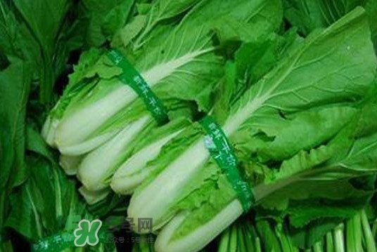 水白菜可以吃嗎？水白菜能吃嗎