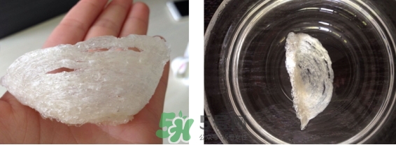 燕窩用什么鍋燉最好吃？燕窩用什么器具燉最好？