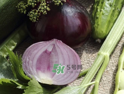 皮芽子發(fā)芽了可以吃嗎？新疆人為什么都愛(ài)吃皮芽子