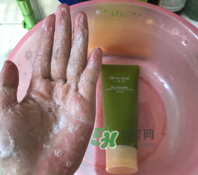 一葉子補(bǔ)水潔面乳怎么樣？一葉子補(bǔ)水洗面奶好用嗎？