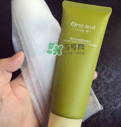 一葉子補(bǔ)水潔面乳怎么樣？一葉子補(bǔ)水洗面奶好用嗎？