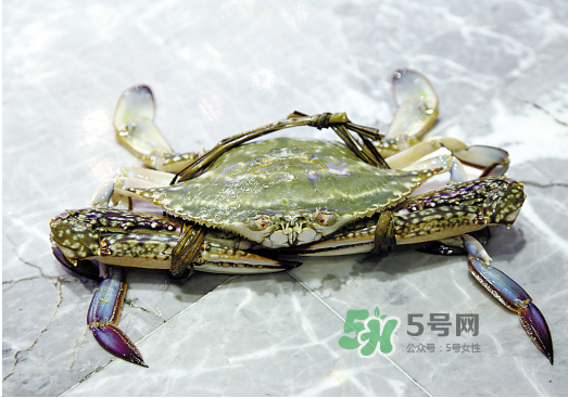 梭子蟹可以和酸奶一起吃嗎？吃完梭子蟹能喝酸奶嗎？