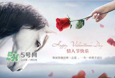 roseonly怎么樣？roseonly好看嗎？