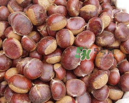 哪里產(chǎn)的板栗最好吃？板栗怎么挑選
