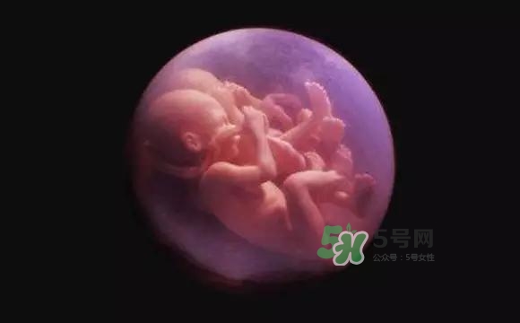 多胞胎是怎么生產(chǎn)的？多胞胎應選擇什么分娩方式