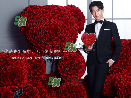 roseonly熊什么材質(zhì)？roseonly玫瑰熊是真花嗎？