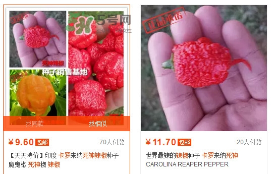 卡羅萊納死神辣椒中國有嗎？死神辣椒哪里有賣