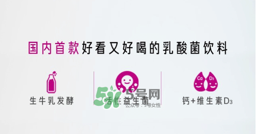 每日活菌乳酸菌多少錢一瓶？每日活菌乳酸菌好喝嗎？