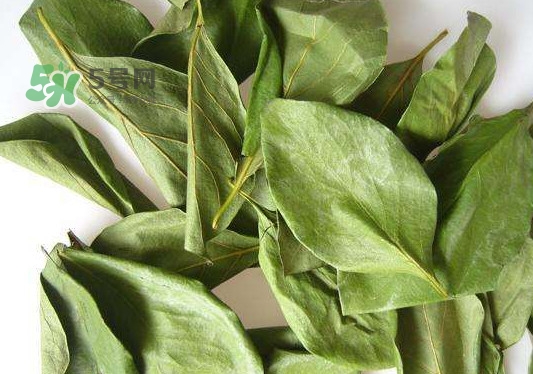 怎樣制作柿子葉茶？柿子葉茶的做法