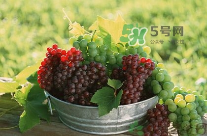 秋天成熟的水果有哪些？秋天吃水果有哪些禁忌