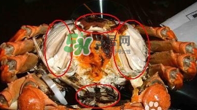 螃蟹怎么吃好吃？螃蟹和什么一起吃最好？