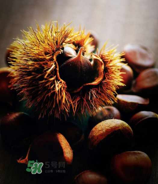 板栗能補腎嗎？板栗補腎陰還是腎陽？